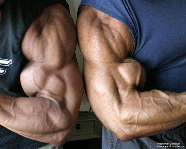 Bicep Workouts for Mass - How to do biceps curls