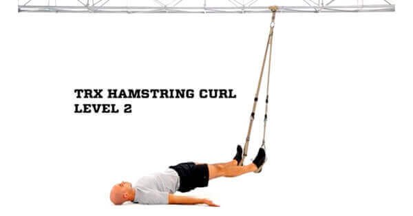 trx hamstring curl exercise