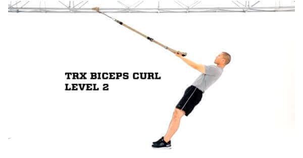 TRX biceps curl