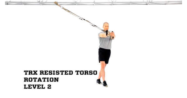 trx torso rotation