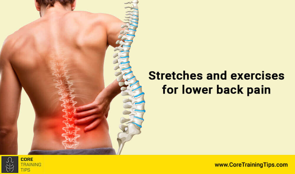 10 Effective TRX Exercises for Lower Back Pain [printable PDF]